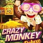 Crazy Monkey Deluxe icon